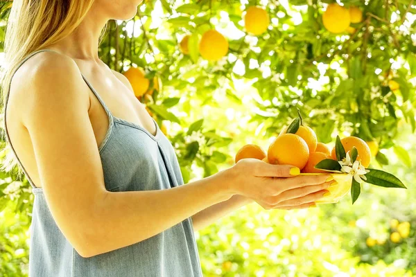 Τοπικά προϊόντα πορτοκαλί αγρόκτημα δέντρο στον κήπο γεμάτο από το φως του ήλιου. Συγκομιδή φρούτων χέρι συλλογή, γυναίκα γεωργός στη hipster ρούχα. Τέλεια τα πορτοκάλια στον κλάδο. Κορίτσι σε φιλόξενος πόζα παράδοση μπολ γεμάτο φρούτα. — Φωτογραφία Αρχείου