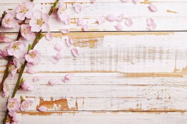 Güzel bahar kompozisyon kopya alanı metin için ahşap zemin üzerine çiçekli çiçekleri ile. Anneler Günü tebrik kavramı.