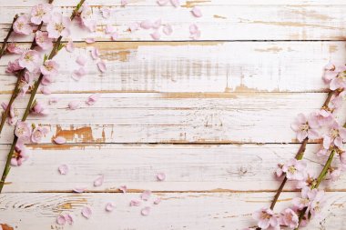 Güzel bahar kompozisyon kopya alanı metin için ahşap zemin üzerine çiçekli çiçekleri ile. Anneler Günü tebrik kavramı.