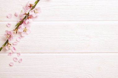 Güzel bahar kompozisyon kopya alanı metin için ahşap zemin üzerine çiçekli çiçekleri ile. Anneler Günü tebrik kavramı.