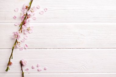 Güzel bahar kompozisyon kopya alanı metin için ahşap zemin üzerine çiçekli çiçekleri ile. Anneler Günü tebrik kavramı.