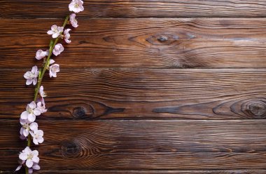 Güzel bahar kompozisyon kopya alanı metin için ahşap zemin üzerine çiçekli çiçekleri ile. Anneler Günü tebrik kavramı.
