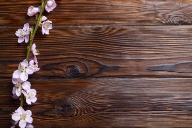 Güzel bahar kompozisyon kopya alanı metin için ahşap zemin üzerine çiçekli çiçekleri ile. Anneler Günü tebrik kavramı.