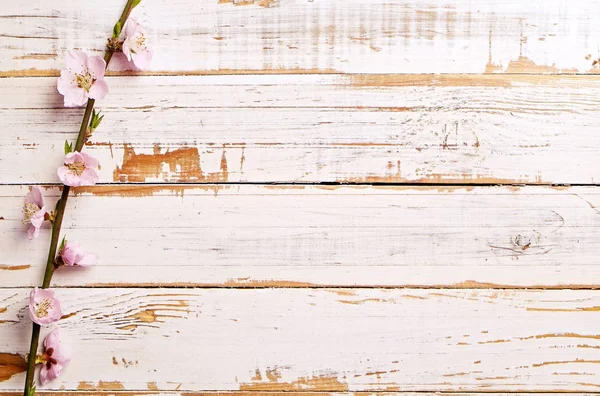 De samenstelling van het prachtige voorjaar met bloeiende bloesems op houten achtergrond met kopie ruimte voor tekst. Moederdag groet concept. — Stockfoto