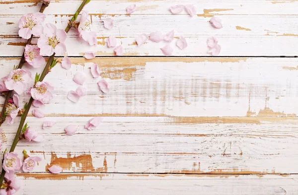 Hermosa composición primaveral con flores florecientes sobre fondo de madera con espacio de copia para texto. Concepto de saludo del día de la madre . — Foto de Stock