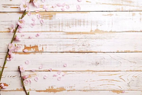 Schöne Frühlingskomposition mit blühenden Blüten auf hölzernem Hintergrund mit Kopierraum für Text. Muttertagsgrüßkonzept. — Stockfoto