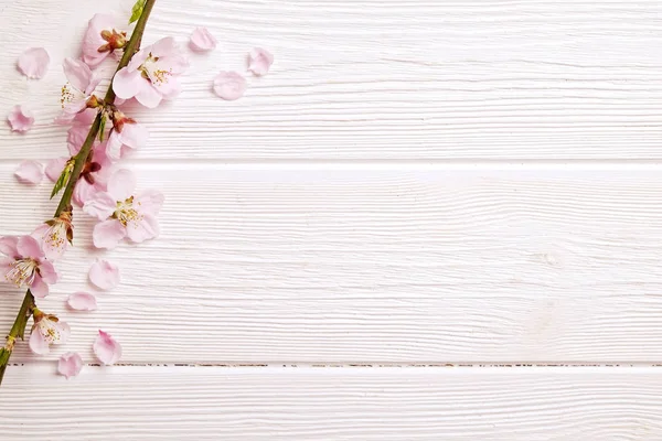 Hermosa composición primaveral con flores florecientes sobre fondo de madera con espacio de copia para texto. Concepto de saludo del día de la madre . — Foto de Stock