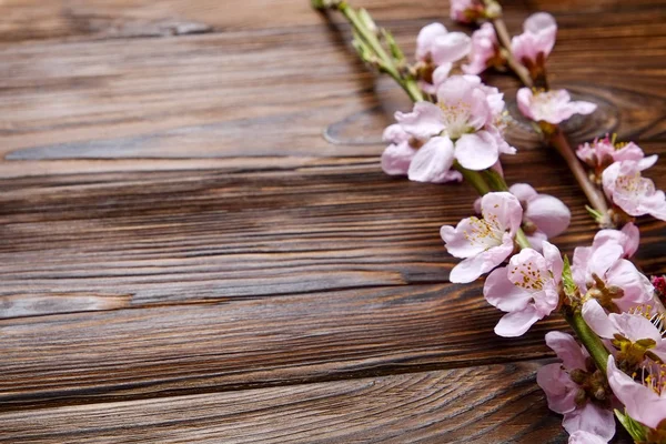 Hermosa composición primaveral con flores florecientes sobre fondo de madera con espacio de copia para texto. Concepto de saludo del día de la madre . — Foto de Stock