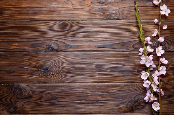 Schöne Frühlingskomposition mit blühenden Blüten auf hölzernem Hintergrund mit Kopierraum für Text. Muttertagsgrüßkonzept. — Stockfoto