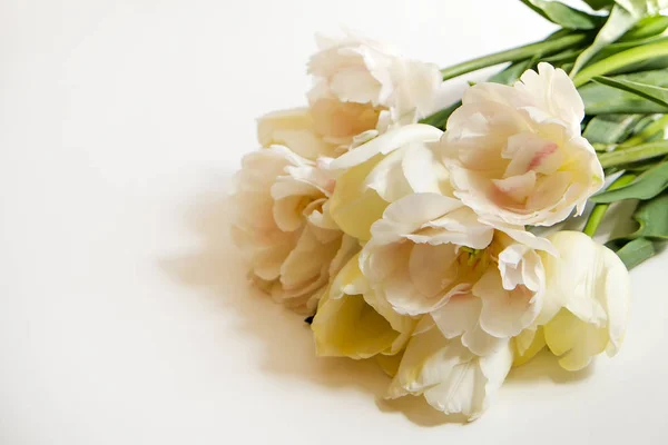 Prachtige voorjaar vakantie bloemen arrangement. Stelletje witte tulpen in feestelijke samenstelling, kopie ruimte voor tekst, witte achtergrond. — Stockfoto