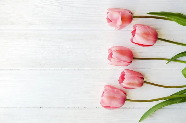 Gäng rosa tulpan i vacker vår semester sammansättning liggande på vit texturerat träbord bakgrund. Mors dag bukett arrangemang. Blommor för kvinnodagen. Kopierar utrymme, närbild, ovanifrån. — Stockfoto