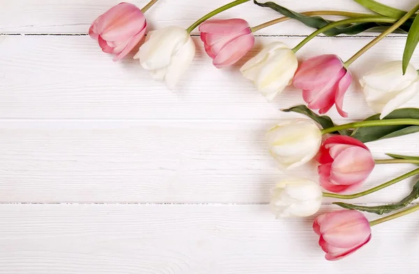 İhale minimalist bahar çiçek kompozisyon doku yüzeyi. Güzel kadınsı bitki dekorasyon tatil tebrik kartı için. Yaz, yaz, ilkbahar, Mart Nisan, Haziran Temmuz. Mutlu anneler günü — Stok fotoğraf