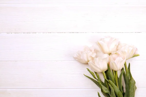Schöne Frühlingsferien Blumen arrangieren. Bündel weißer Tulpen in festlicher Komposition, Kopierraum für Text, weißer Hintergrund. — Stockfoto