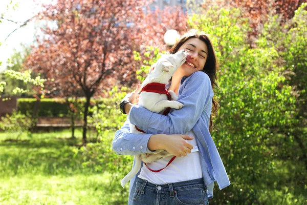 Retrato de mujer joven atractiva abrazando lindo gato russell terrier cachorro en el parque, césped verde, fondo de follaje. Hipster hembra en gafas de sol sonriendo, mascotas de su perro en la hierba. Cerrar, copiar espacio . — Foto de Stock