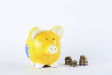 İzole edilmiş arka planda domuz kumbarasının stüdyo çekimini kapat.