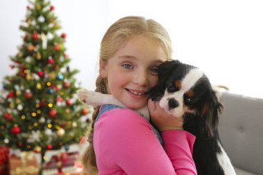 Cavalier King Charles Spaniel 'in yanında küçük bir kız Noel ağacının önünde oturuyor, bir sürü hediye paketliyor. Şimdiki konsept olarak köpek yavrusu. Boşluğu kopyala, şenlikli arkaplan.