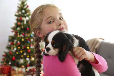 Cavalier King Charles Spaniel 'in yanında küçük bir kız Noel ağacının önünde oturuyor, bir sürü hediye paketliyor. Şimdiki konsept olarak köpek yavrusu. Boşluğu kopyala, şenlikli arkaplan.
