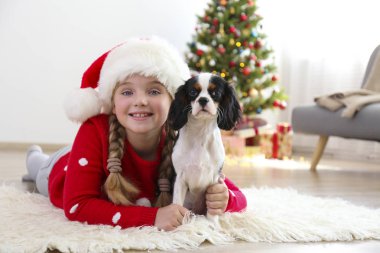 Cavalier King Charles Spaniel 'in yanında küçük bir kız Noel ağacının önünde oturuyor, bir sürü hediye paketliyor. Şimdiki konsept olarak köpek yavrusu. Boşluğu kopyala, şenlikli arkaplan.