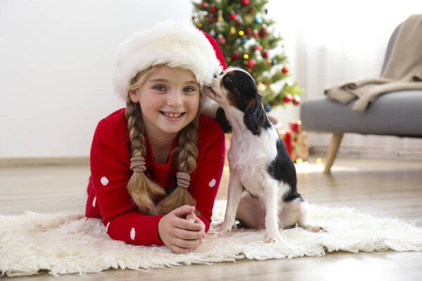 Bambina con Cavalier King Charles Spaniel seduta davanti all'albero di Natale, mazzo di regali in involucro festivo. Cucciolo come concetto attuale. Copia spazio, sfondo festivo . — Foto Stock