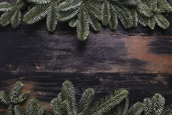 Geleneksel çam ağacı dallarıyla kış tatili geçmişi.