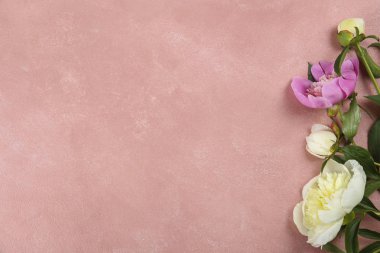 Güzel şakayık çiçekleri dokulu arka plan üzerinde yakın çekim yaparlar ve metin için bir sürü kopya alanı vardır. Uluslararası kadınların annelerinin sevgililerinin ilk bahar günü. Yaklaş, üstten bak, arkaplan, düz yat.