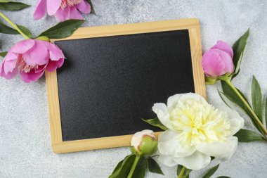 Güzel şakayık çiçekleri dokulu arka plan üzerinde yakın çekim yaparlar ve metin için bir sürü kopya alanı vardır. Uluslararası kadınların annelerinin sevgililerinin ilk bahar günü. Yaklaş, üstten bak, arkaplan, düz yat.