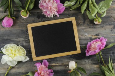 Güzel şakayık çiçekleri dokulu arka plan üzerinde yakın çekim yaparlar ve metin için bir sürü kopya alanı vardır. Uluslararası kadınların annelerinin sevgililerinin ilk bahar günü. Yaklaş, üstten bak, arkaplan, düz yat.