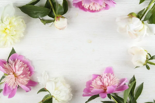 Beautiful peony flowers closeup over textured background with a lot of copy space for text. International women's mother's valentine's first spring day. Close up, top view, backdrop, flat lay. — ストック写真
