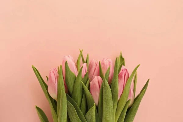 Bunch of pink spring flowers with a lot of copy space for text. — Stock Photo, Image