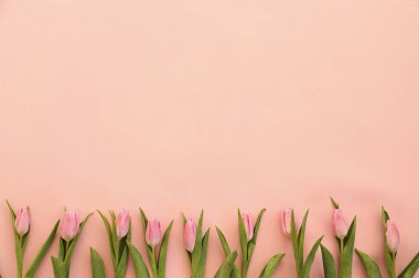 Bir sürü pembe bahar çiçeği ve metin için bir sürü kopya alanı.