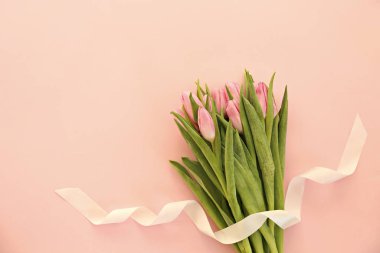 Bir sürü pembe bahar çiçeği ve metin için bir sürü kopya alanı.