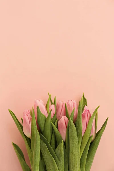 Bunch of pink spring flowers with a lot of copy space for text. — Stock Photo, Image