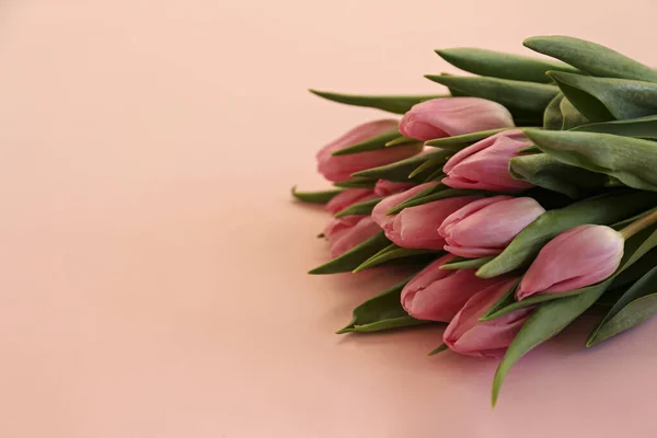 Egy rakás rózsaszín tavaszi virág, sok másolási hellyel a szövegnek.. — Stock Fotó