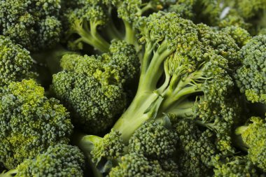 Bir tutam brokoli, lahana familyasından dible yeşil bitkiler..