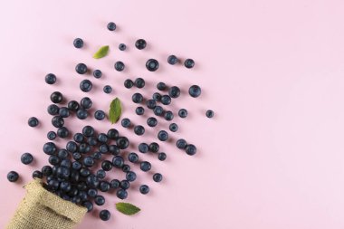 Mükemmel olgun taze yerel üretmek yaban mersini aldı. Yakın yukarı, metin, üst görünüm, arka plan için boşluk kopyalayın. Sağlıklı Vegan aperatifler antioksidanlar dolu. Mevsimlik yaz meyveleri.