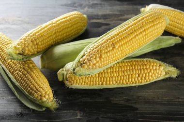 Koyu ahşap desenli masaya bırakılmış olgun çiğ mısır koçanları. Sağlıklı yaz yemekleri konsepti. Taze pişmemiş mısır koçanı. Temiz yeme alışkanlıkları. Arkaplan, üst görünüm, kapat, düzleştir, kopyala.