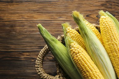 Koyu ahşap desenli masaya bırakılmış olgun çiğ mısır koçanları. Sağlıklı yaz yemekleri konsepti. Taze pişmemiş mısır koçanı. Temiz yeme alışkanlıkları. Arkaplan, üst görünüm, kapat, düzleştir, kopyala.