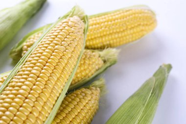 Olgun çiğ mısır koçanları, beyaza izole edilmiş. Sağlıklı yaz yemekleri konsepti. Taze pişmemiş mısır koçanı. Temiz yeme alışkanlıkları. Arkaplan, üst görünüm, kapat, düzleştir, kopyala.