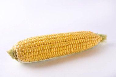 Olgun çiğ mısır koçanları, beyaza izole edilmiş. Sağlıklı yaz yemekleri konsepti. Taze pişmemiş mısır koçanı. Temiz yeme alışkanlıkları. Arkaplan, üst görünüm, kapat, düzleştir, kopyala.