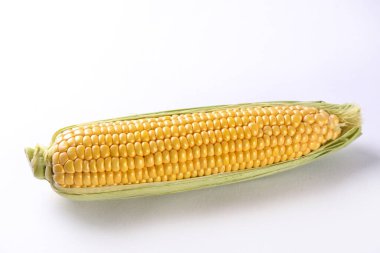 Olgun çiğ mısır koçanları, beyaza izole edilmiş. Sağlıklı yaz yemekleri konsepti. Taze pişmemiş mısır koçanı. Temiz yeme alışkanlıkları. Arkaplan, üst görünüm, kapat, düzleştir, kopyala.