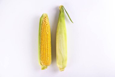 Olgun çiğ mısır koçanları, beyaza izole edilmiş. Sağlıklı yaz yemekleri konsepti. Taze pişmemiş mısır koçanı. Temiz yeme alışkanlıkları. Arkaplan, üst görünüm, kapat, düzleştir, kopyala.