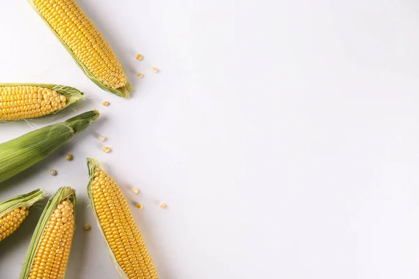 Cobs of ripe raw corn, isolated on white. Healthy summer food concept. Fresh uncooked corncob. Clean eating habits. Background, top view, close up, flat lay, copy space.