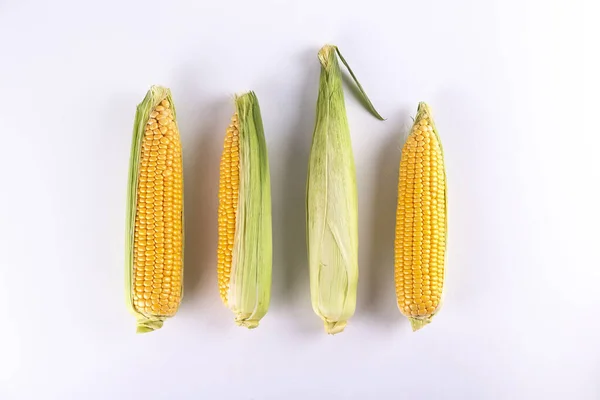 成熟的生玉米的奶子 被白色隔离 健康的夏季食品概念 新鲜的未煮熟玉米芯 清洁的饮食习惯 顶视图 复制空间 — 图库照片