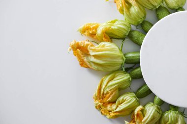 Taze pişmemiş yeşil ve sarı kabak çiçekleri. Vejetaryen besleyici yiyecekler. Temiz yeme konsepti. Arkaplan, kopyala boşluk, kapat, üst görünüm.