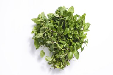 Temiz yeme konsepti. Beyaz arka planda izole edilmiş taze taze koparılmış organik yeşil nane yaprakları. Bahar detoksu için sağlıklı diyet. Çiğ vejetaryen yemeği. Kapat..