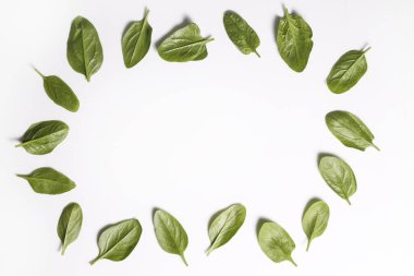 Temiz yeme konsepti. Olgun sulu taze toplanmış organik ıspanak yeşillikleri beyaz arka planda izole bir şekilde dizilmiş. Bahar detoksu için sağlıklı diyet. Çiğ vejetaryen yemeği. Kapat..