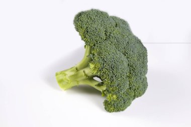 Temiz yeme konsepti. Tek olgun sulu taze koparılmış organik brokoli kafası. Beyaz arka planda izole edilmiş bir yeşil kaymak. Bahar detoksu için sağlıklı diyet. Çiğ vejetaryen yemeği. Kapat..