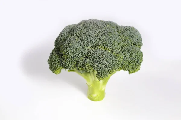 Concepto Comer Limpio Cabeza Brócoli Orgánica Recién Recogida Jugosa Madura — Foto de Stock