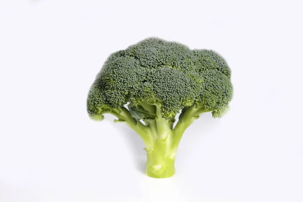 Schoon Eetconcept Enkele Rijpe Sappige Vers Geplukte Biologische Broccoli Kop — Stockfoto