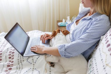 Coronavirus karantinası nedeniyle dizüstü bilgisayarında evinden uzakta çalışan genç bir kadının yakın çekim görüntüsü. Jack Russell Terrier köpeğiyle serbest çalışan bir kadın. Boşluğu kopyala, arkaplan,